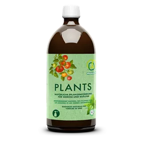 Plants 1 Liter