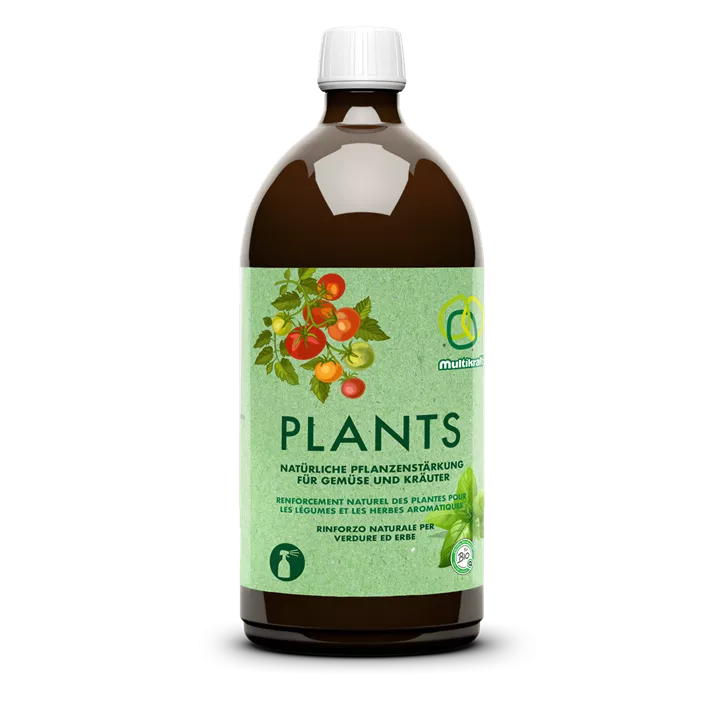 Plants 1 Liter