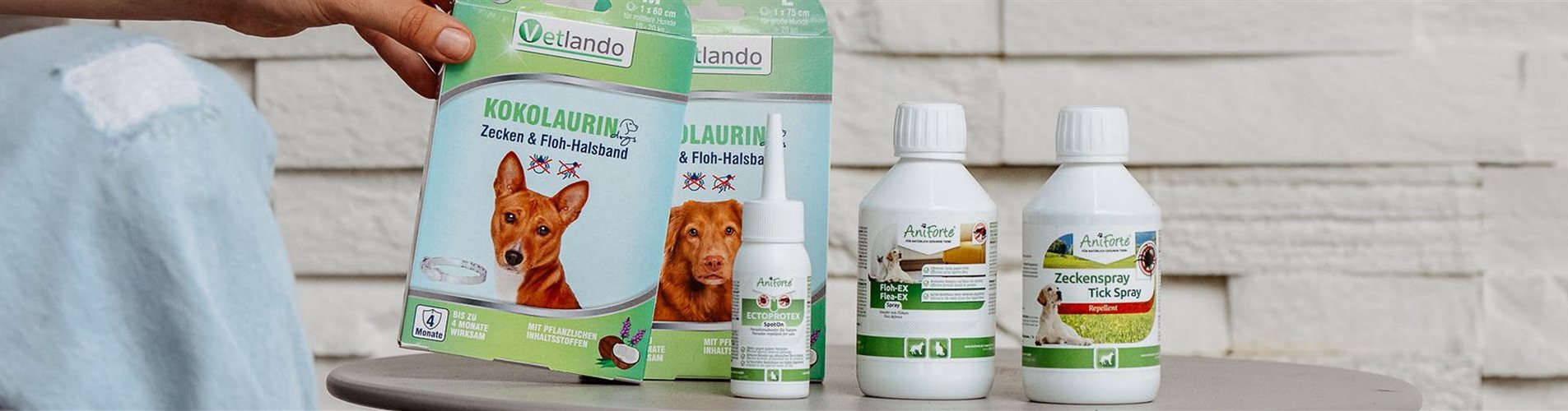 BellaFloraxstudiosoco-229-0-940-2048-438