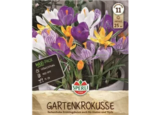 Seite 5 - Krokusse.jpg