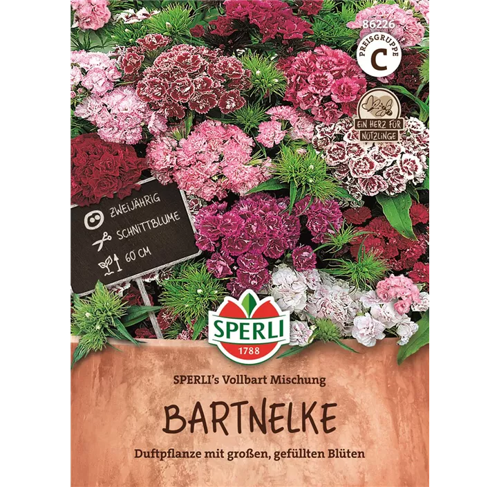 Bartnelke gefüllte Mischung 