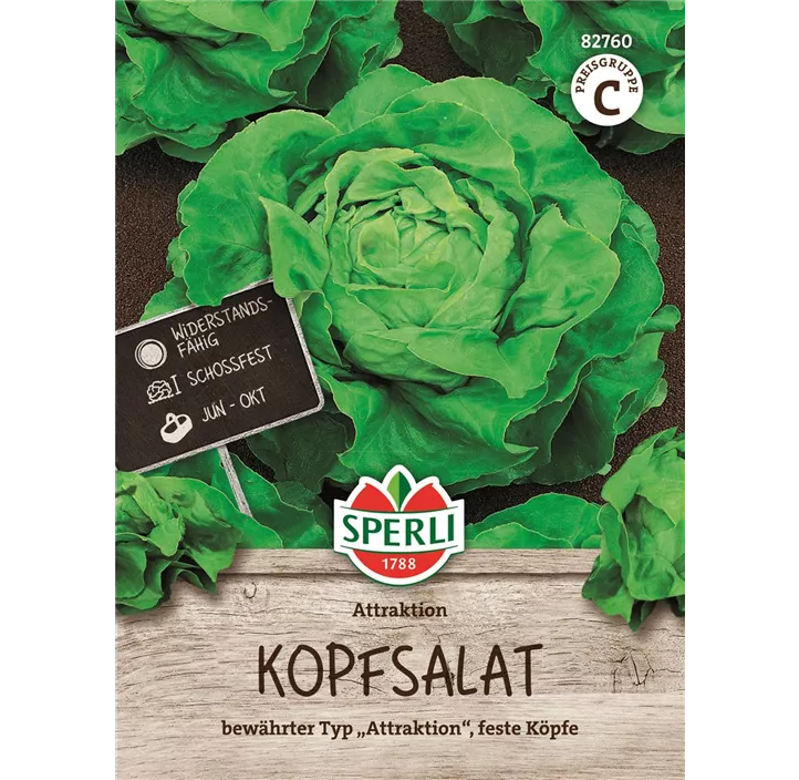 Kopfsalat Attraktion