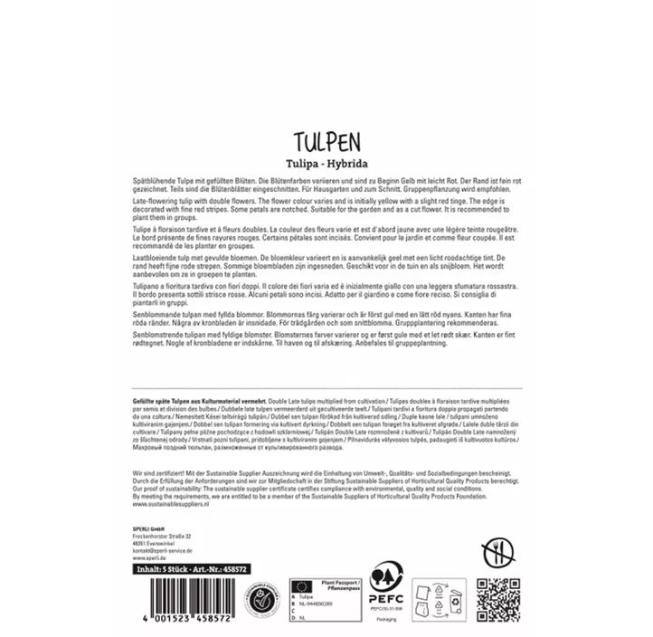 Tulpen Akebono