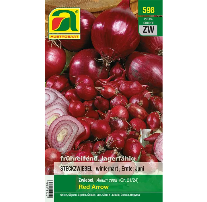 Wintersteckzwiebel rot