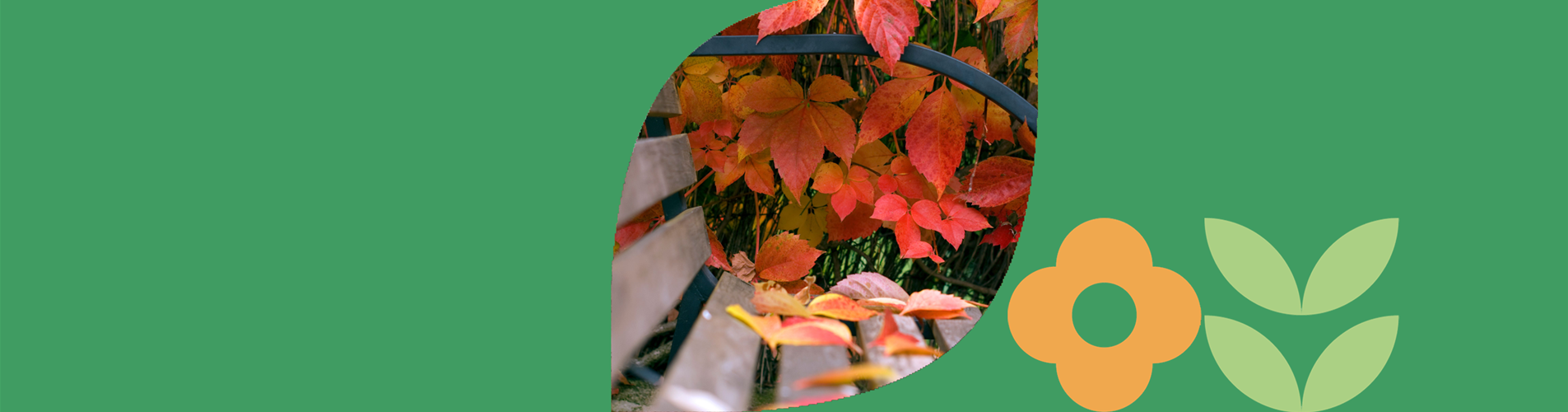 Herbst Header neu
