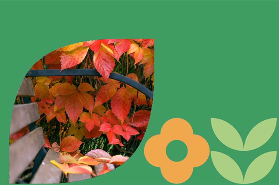 Mach's dir herbstlich schön!