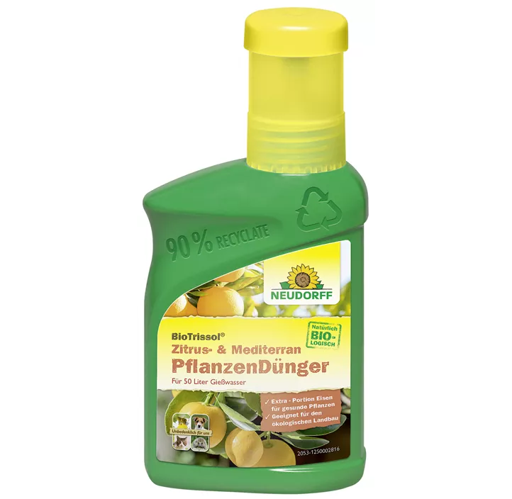 Azet Zitrusdünger (Neud.)
