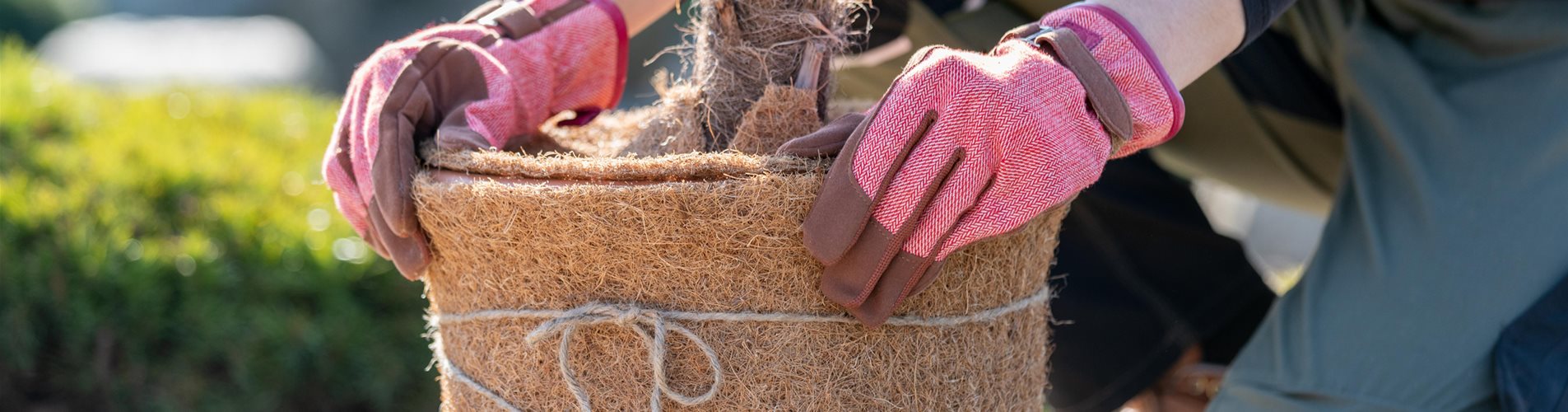 Winterschutz Blog Header