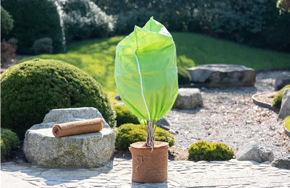 Überwinterung - Pflanzensack und Kokosmatte