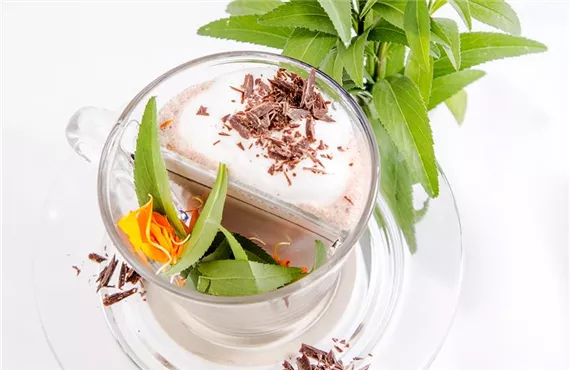 Suesser Tagetes_mmg-design-225.jpg