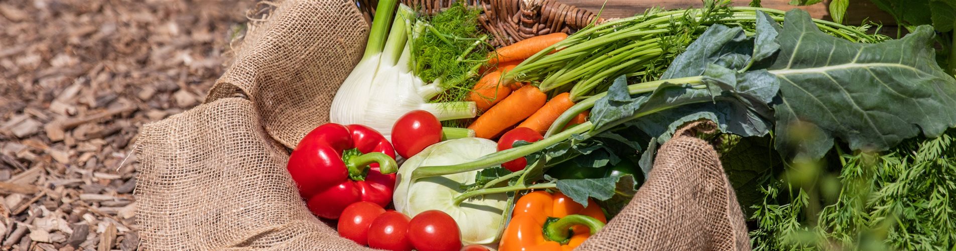 Gemüse im Korb Gemüse im Korb