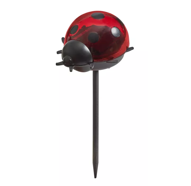 Solar Marienkäfer auf Stab, 3er-Packung